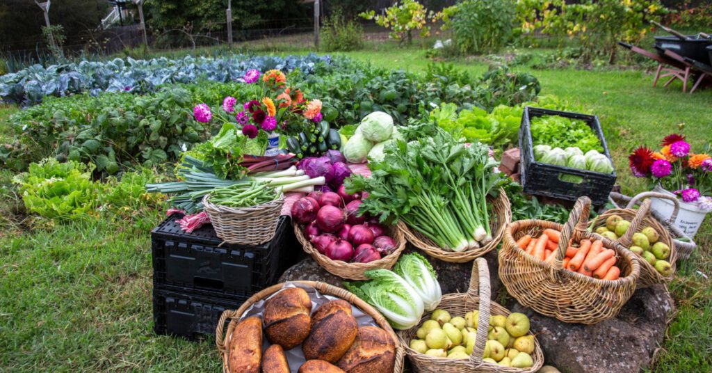 About bio dynamic farm & produce