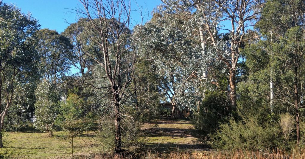 About view from the dam melbourne rudolf steiner seminar